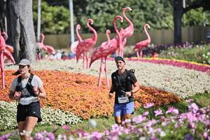 BIB: 
                            <button type="button" onclick="openModal(27793196)" class="btn btn-primary btn-sm float-right btn-popup" data-toggle="modal" data-target=".modal-high-quality">
                        <i class="fas fa-shopping-cart"></i> Add to Cart
                    </button>
                                            <button type="button" onclick="isThisMe(27793196, true)" class="btn btn-success btn-sm float-right btn-popup btn-isme hidden" data-toggle="tooltip" data-placement="bottom" title="นี่คือรูปของคุณใช่ไหม คลิกที่นี่เพื่อเอาเข้าอัลบั้ม">
                        <i class="fas fa-plus"></i> Add to album
                    </button>
                    <button type="button" onclick="isThisMe(27793196, false)" class="btn btn-warning btn-sm float-right btn-popup btn-isnotme hidden">
                        <i class="fas fa-ban"></i> Remove from album
                    </button>